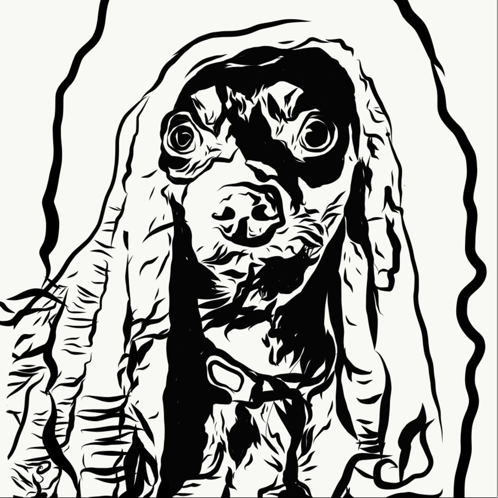 Custom Pet Portrait Commissions - Picture 3 of 5